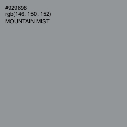 #929698 - Mountain Mist Color Image